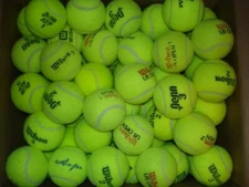 PRO PENN WILSON PENN Lot of 200 used tennis balls DOG TOYS