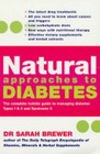 Natural Approaches to Diabetes by Dr. Sarah Brewer (Paperback, 2005)