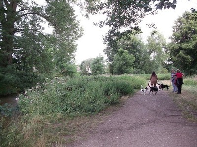 Foto A3 Hundewanderer auf der London Loop North Cray The long distance pat c2011