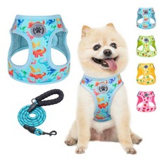 Step in Dog Harness and Leash Set,Reflective Dog Harness No Pull No Choke Pup...