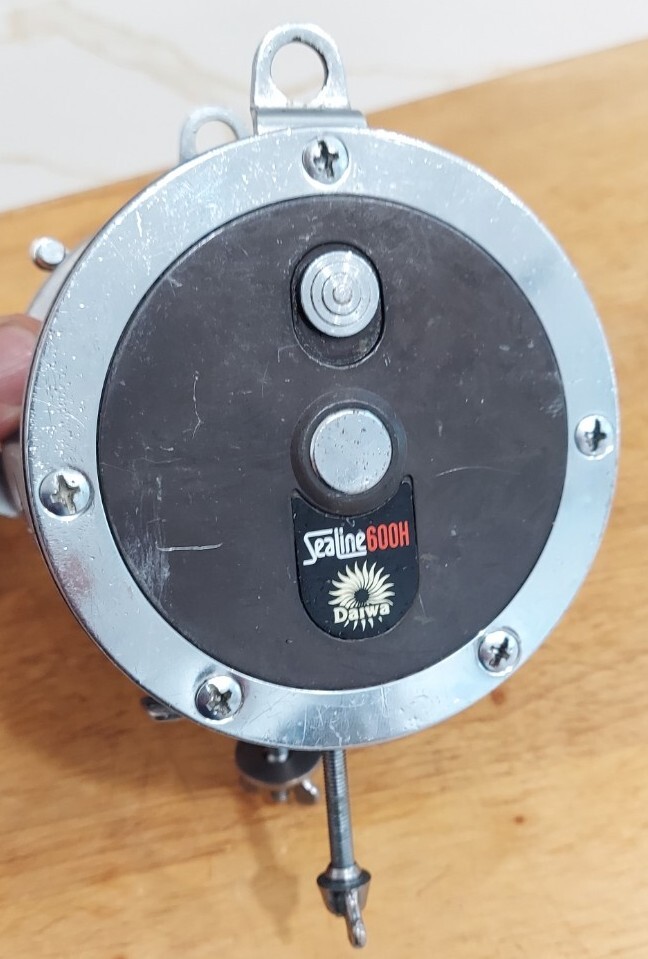 JUST SEVICED! Daiwa Sealine 600H Conventional Reel Made In Japan 
