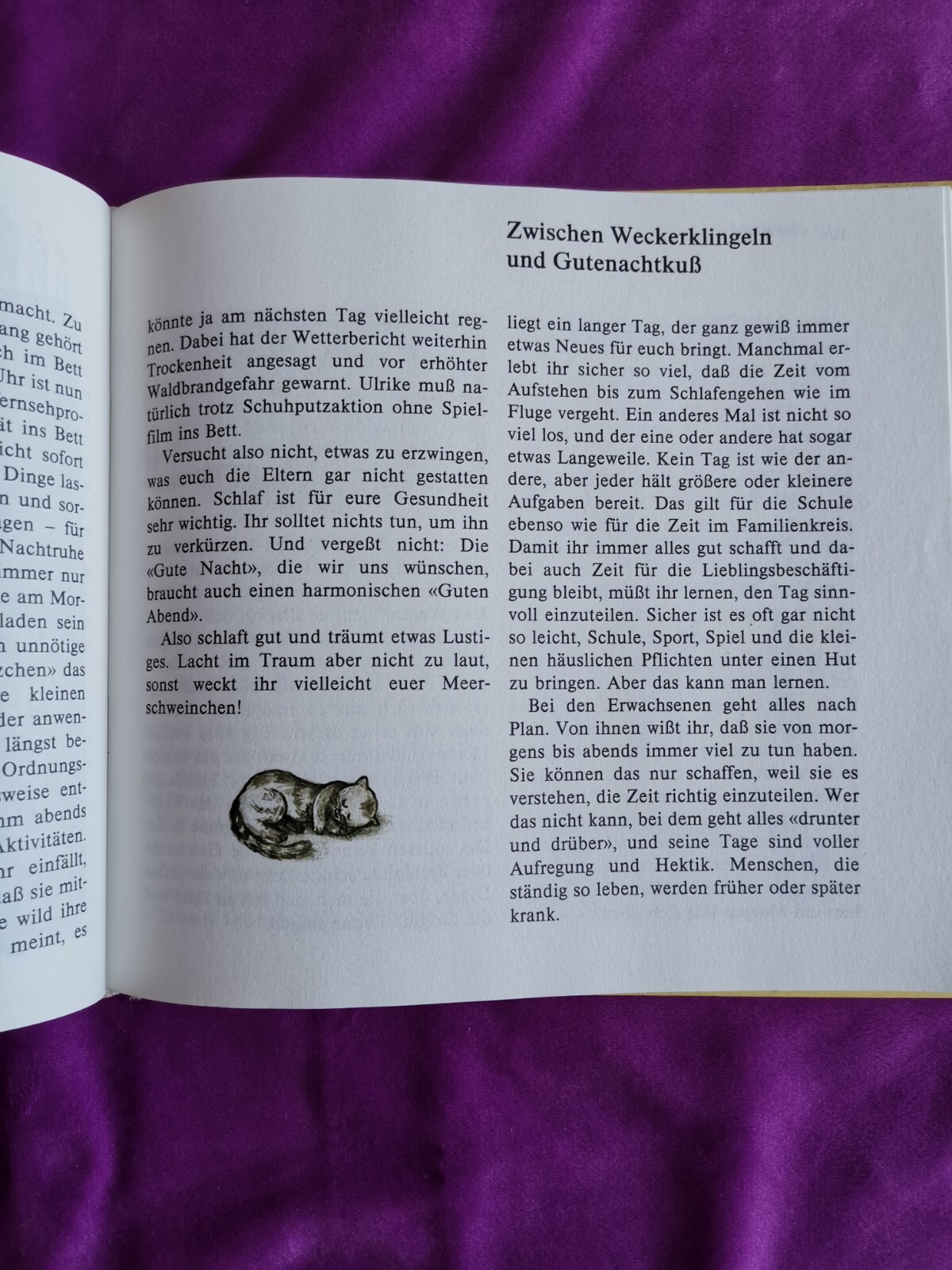 Bild 2 von 5