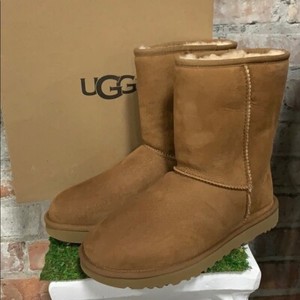 chestnut uggs short