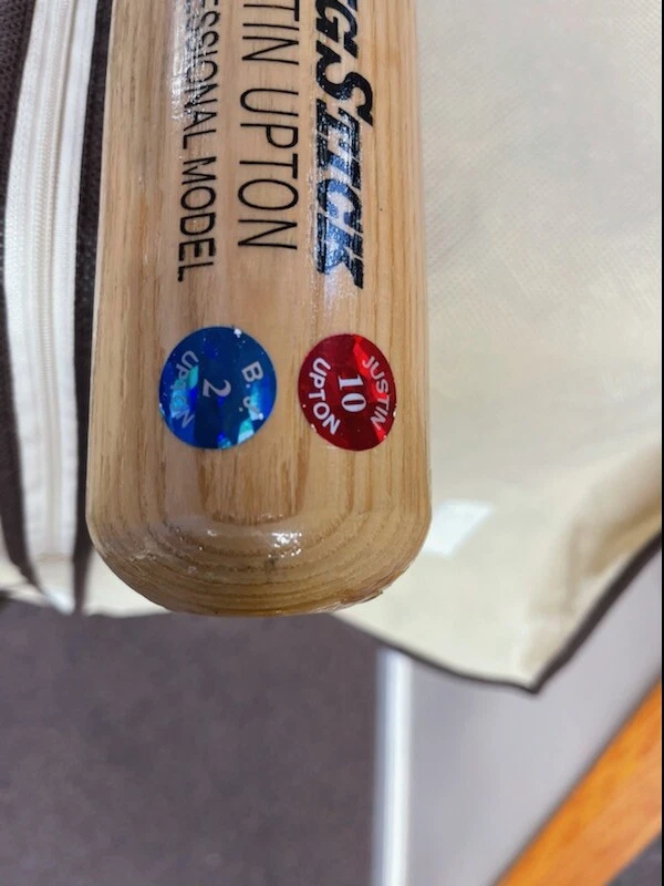 Bate autografiado doble BJ Upton y Justin Upton con hologramas y vestuario memorándum certificado de autenticidad Foto 2 de 4