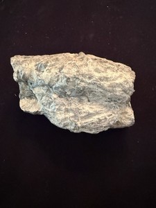 RARE 6" Stigmaria root fossil Amazing addition to any collection!
