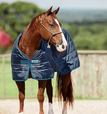 Horseware Liner 300G