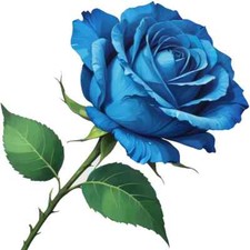 30 Custom Blue Rose Special Personalized Address Labels