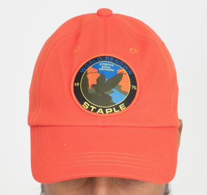 staple pigeon dad hat