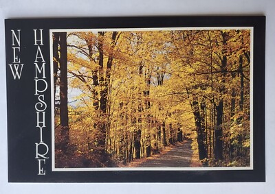 Postcard New Hampshire Autumn Colors Along the Road White Mountains USA