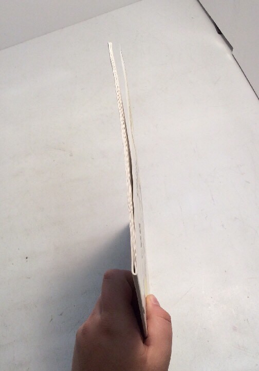 Picture 4 of 12