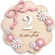 Baby Monthly Milestone Signs, 6 inch Wooden Disc with Interchangeable Numbers 1-
