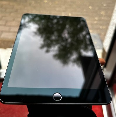 iPad mini 5 A2124 (MUXC2) Space Grau 256GB A12 Chip