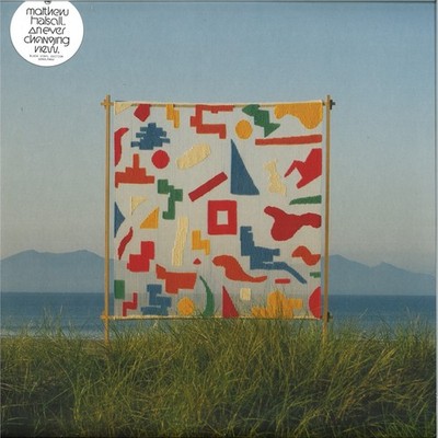 Matthew Halsall   An Ever Changing View   2xLP Black Vinyl