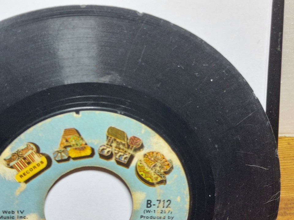 Paul Davis Ride Em Cowboy/I'm The Only Sinner 45 RPM Vinyl Record Bang