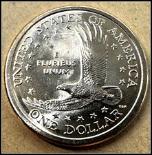 2007 P Sacagawea Dollar Uncirculated US Mint-