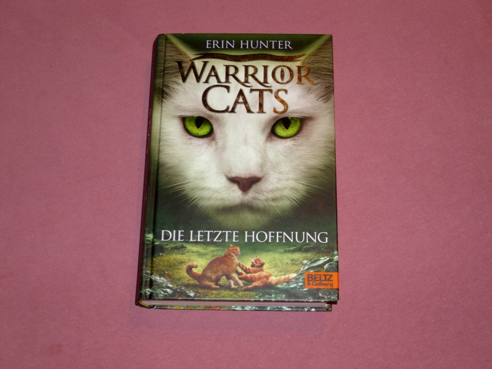 Bild 8 von 8
