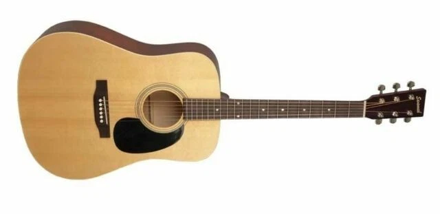 Recording King Guitars & Basses