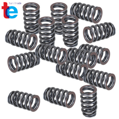 For all LS Engines - .600'' Lift Rated PAC-1218 Drop-In Beehive Valve Spring Kit