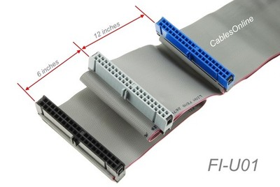 18'' 40-Pin 80 Wire UDMA 66/100 IDE 2-Drive Cable FI-U01