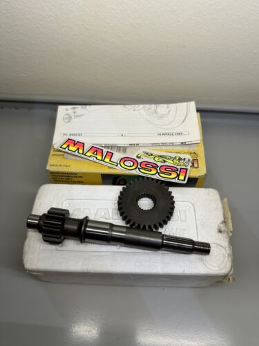 Rapporti Malossi