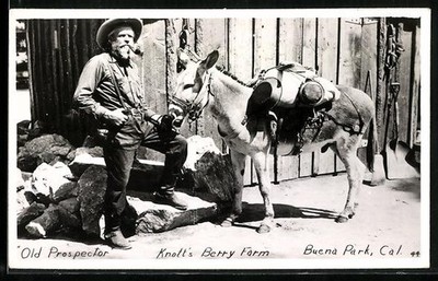 Foto-AK Buena Park, CA, Knott´s Berry Farm, Old Prospector 