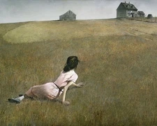Christina's World by Andrew Wyeth ART Home Decor