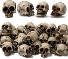 20 Stück Mini Totenkopf Figur, Mini Schädel Blumentopf Dekoration