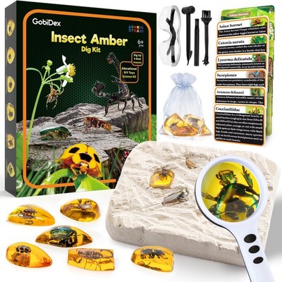 Amber Dig Kit-Artificial Insect Resin, Excavate 6 Insects Specimens, STEM Geo...