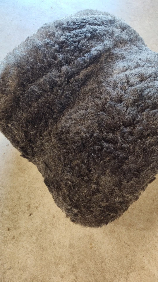 raw wool - Shetland fleece - gray/black/flecks of brown- felting - FREE SHIPPING - Image 4 of 4