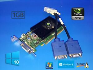 Hp Compaq Pro Sff 6000 60 6250 6300 Nvidia 1gb Sff Dual Vga Video Card Ebay