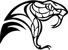 Snake Head vinyl sticker decal U Choose Color  Size
