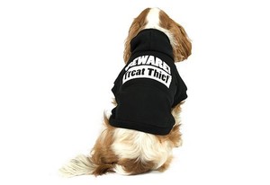 muddy paws dog jumpers