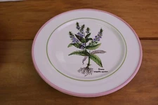 PRIMULA Salad Plates Pink Rim Purple Flower Italy Anagallis
