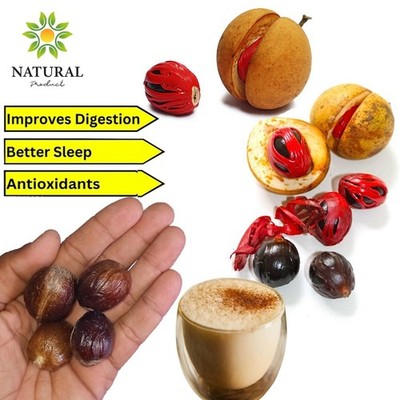 Muskat Samen ganz getrocknet mit Schale Ceylon Bio Naturkräuter und Gewürze 
