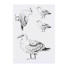 4 x 'Grumpy Seagull' Temporary Tattoos / Transfers TO00007261 