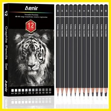 Sketch Pencils for Drawing, Set of 12 Drawing Pencils for Sketching Medium 6B...