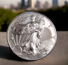 2020 SILVER EAGLE Coin- 1oz .999 Pure - VERY HIGH DETAIL Just Another Beauty