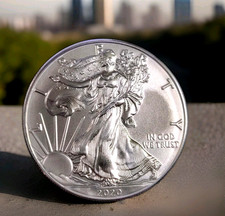 2020 SILVER EAGLE Coin- 1oz .999 Pure - VERY HIGH DETAIL Just Another Beauty 4 U 72.35 per troy oz