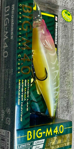 Ultra-Rare Gem !! Megabass Big-M 4.0 Special 7 Palms Edition NANKO SECRET (SP-C) - Picture 4 of 18