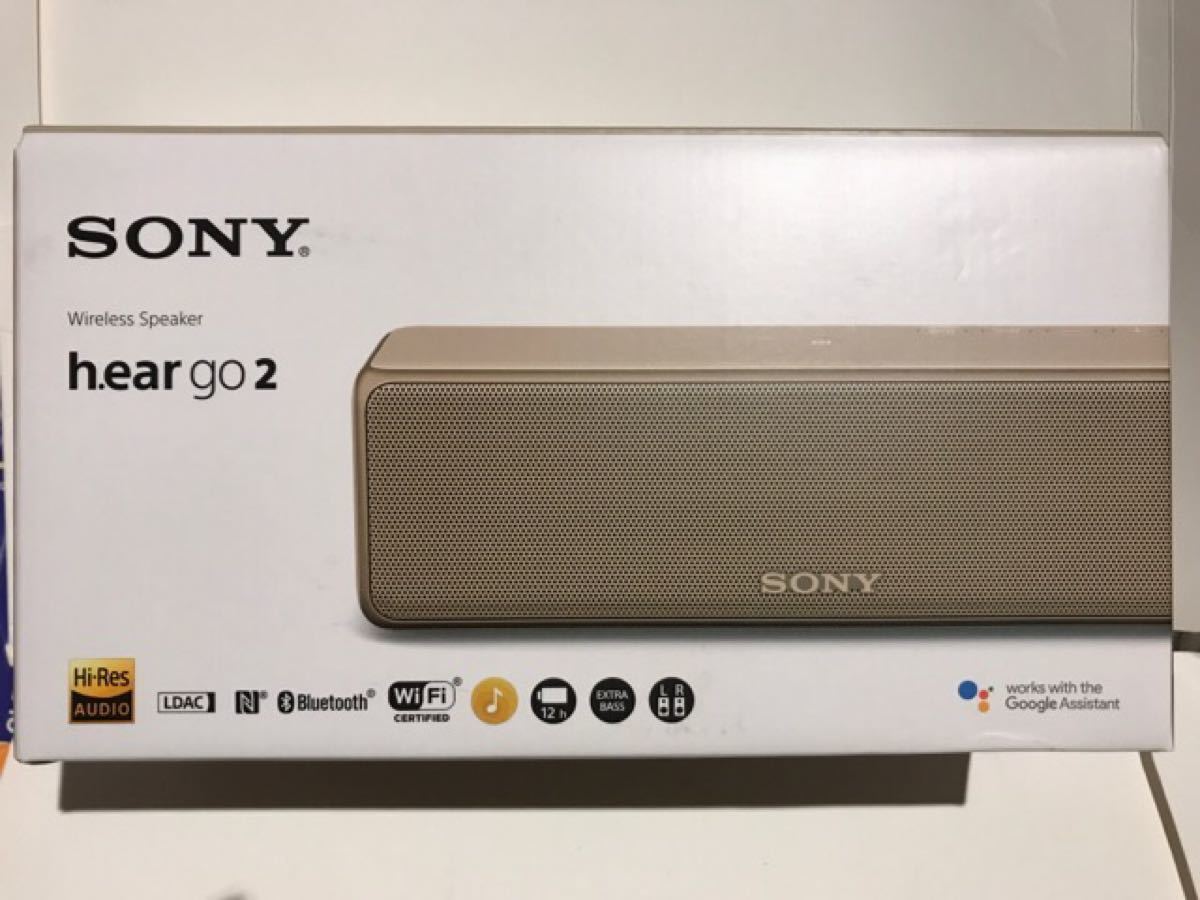 SONY SRS-HG10(L)-