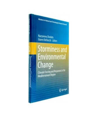 Storminess and Environmental Change: Climate Forcing and Responses in the Medite