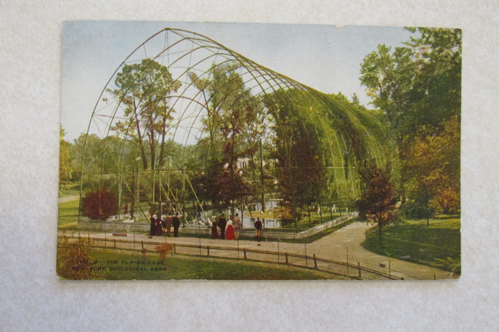 c355 Vintage Postcard Flying Cage New York Zoological Park NY eBay