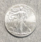 American Silver Eagle 2020 1 Troy Oz Bullion Coin ASE