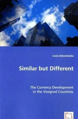 Lucia Zahumenska | Similar but Different | Taschenbuch | Englisch