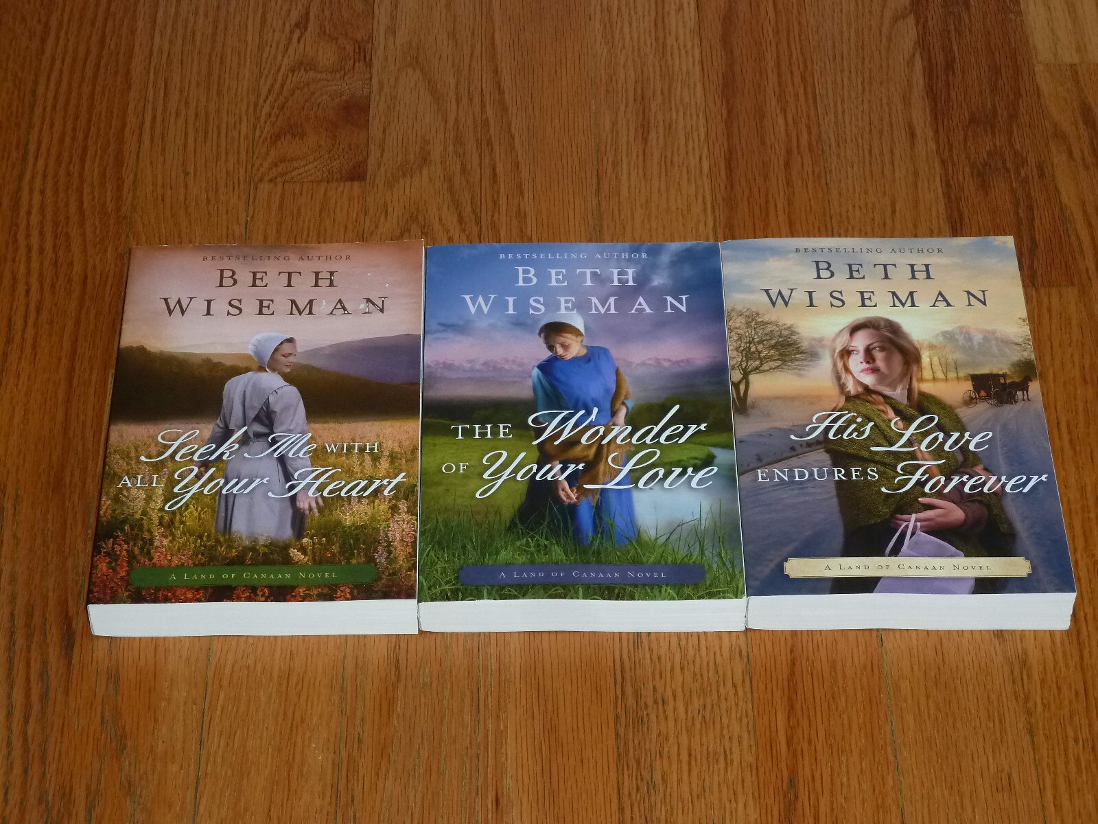 A Land of Canaan Complete Amish Series by Beth Wiseman 3 PB Books LN eBay
