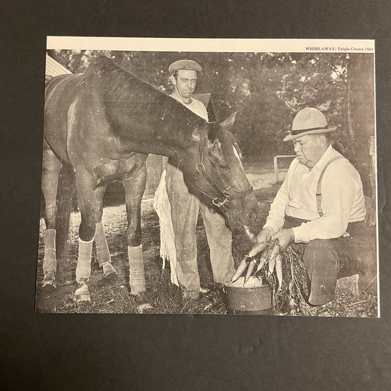 WHIRLAWAY  photo Horse  Racing 1941 TRIPLE CROWN CHAMPION