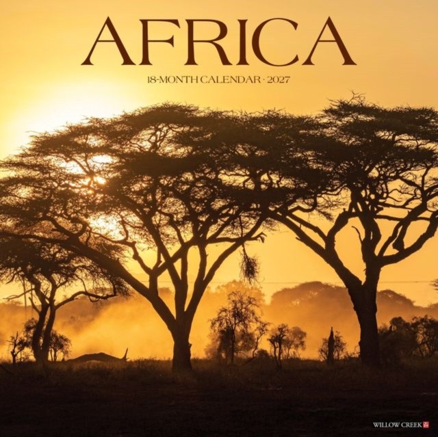Africa 2027 Wall - Image 3