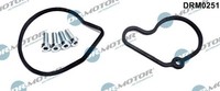 Dr.Motor Automotive Reparatursatz, Unterdruckpumpe (Bremsanlage) DRM0251 FüR