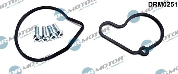 Dr.Motor Automotive Reparatursatz, Unterdruckpumpe (Bremsanlage) DRM0251 FüR-image