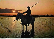 Carte Postale - Animaux - Chevaux - Camargue - Gardian et son cheval au coucher